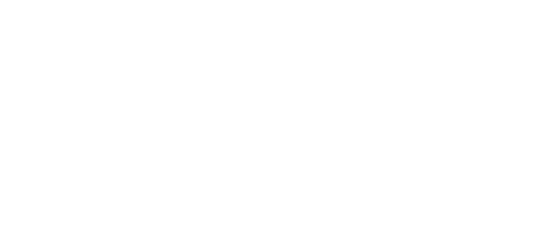 VBet